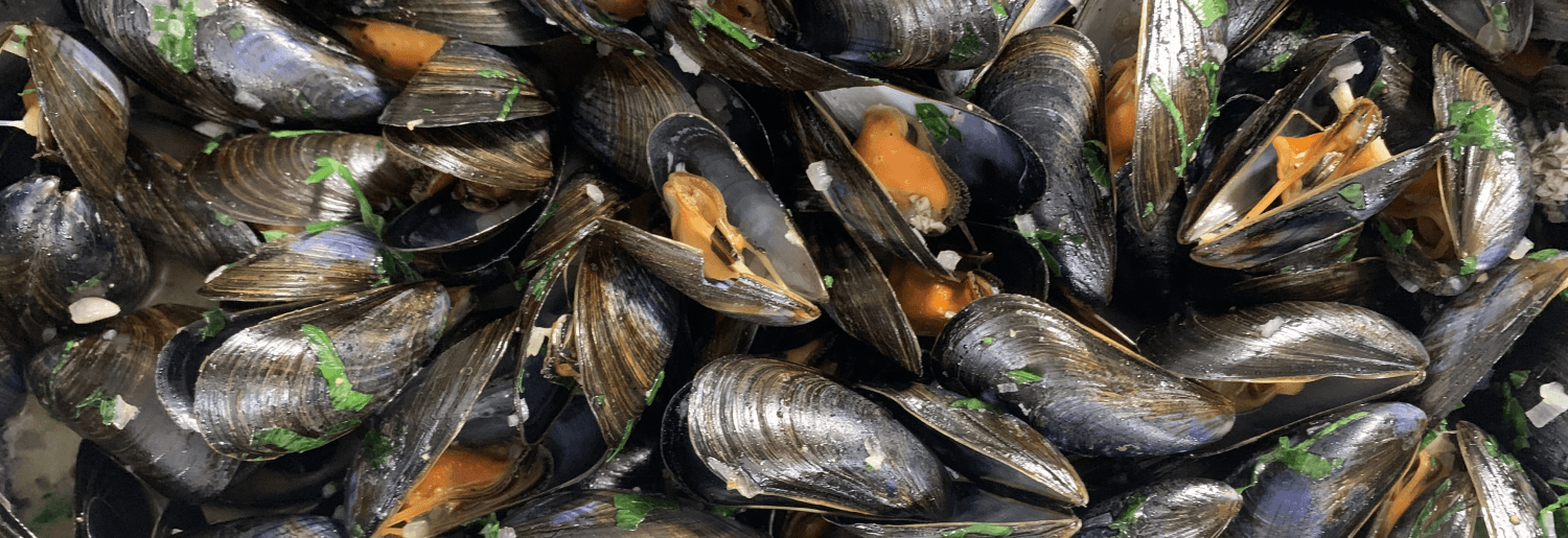 Vous aimez les moules?
