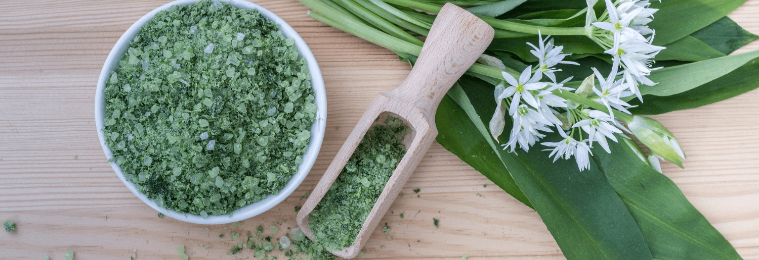 Zoom sur : l'ail des ours