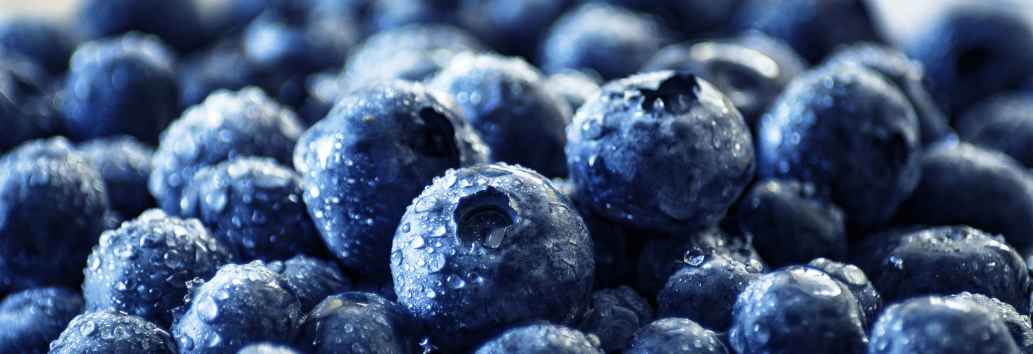 Connaissez vous les brimbelles, abrétiers, embrunes ou encore les bleuets ? 