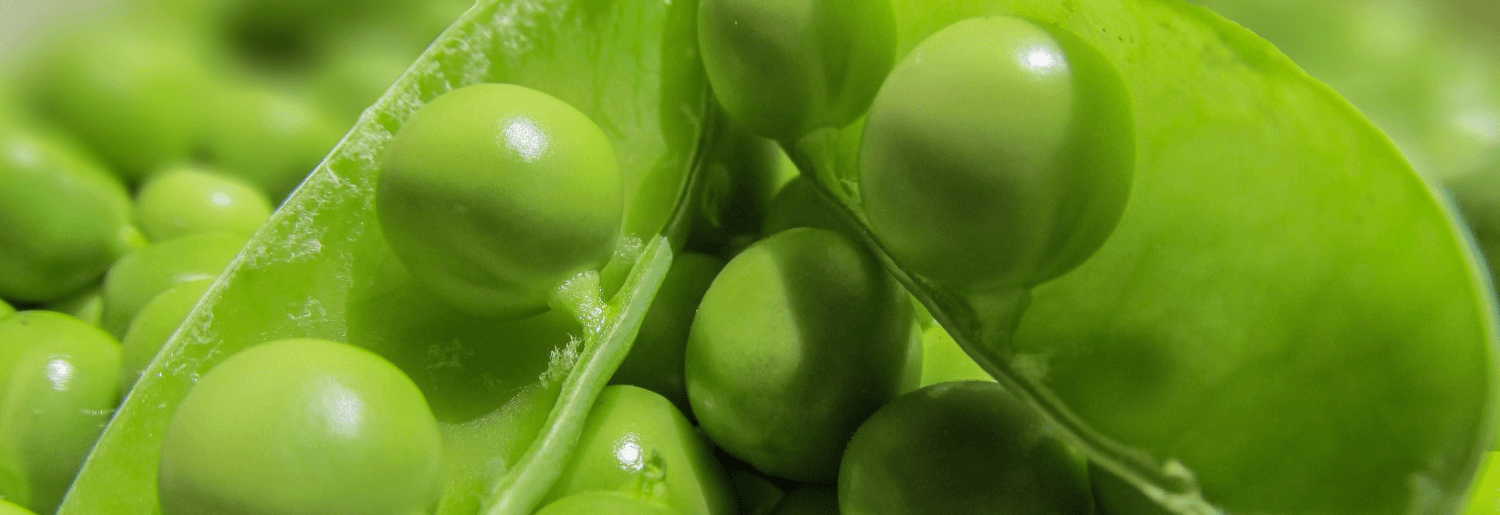 C’est la saison… des petits pois !