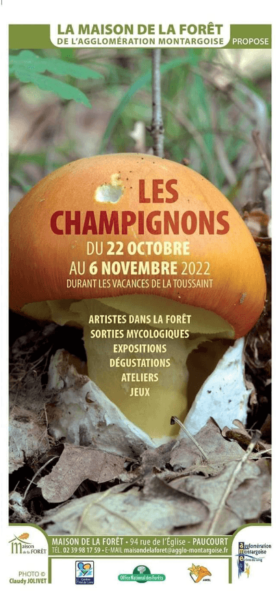 La Maison de la Forêt