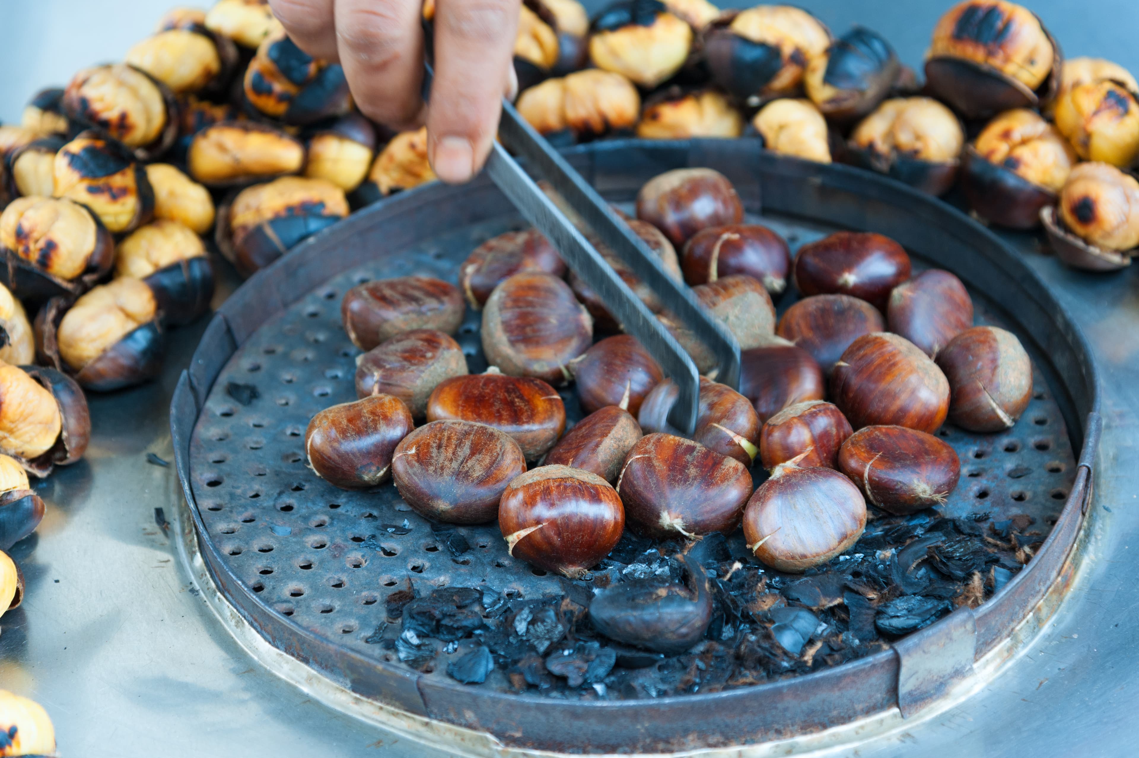 C’est la saison : La Châtaigne ! 