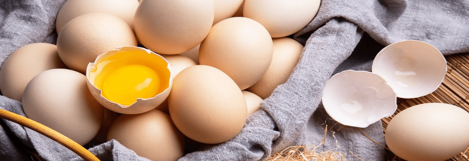 🥚🍓 L’Œuf : L'Ingrédient Parfait pour vos Recettes !  